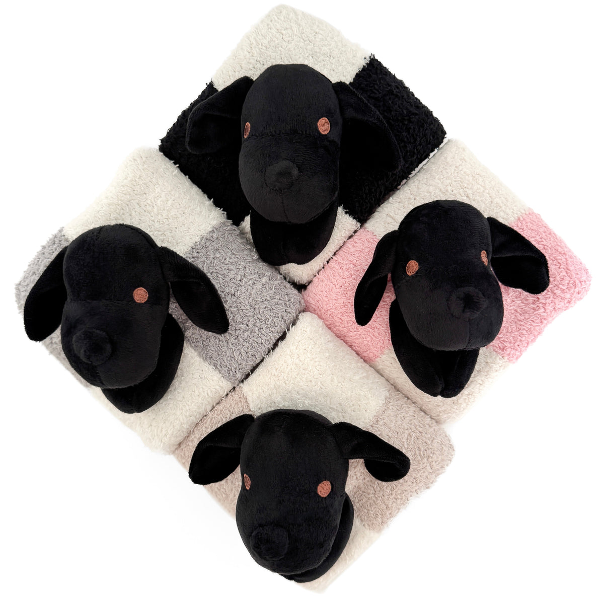 The Calla Lovey — Calla and Friends