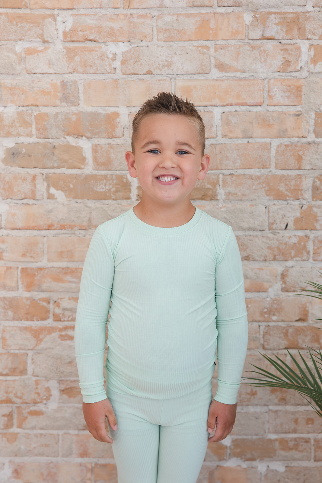 (SOLID, ribbed) Lion Around - Set — Blush Lotus