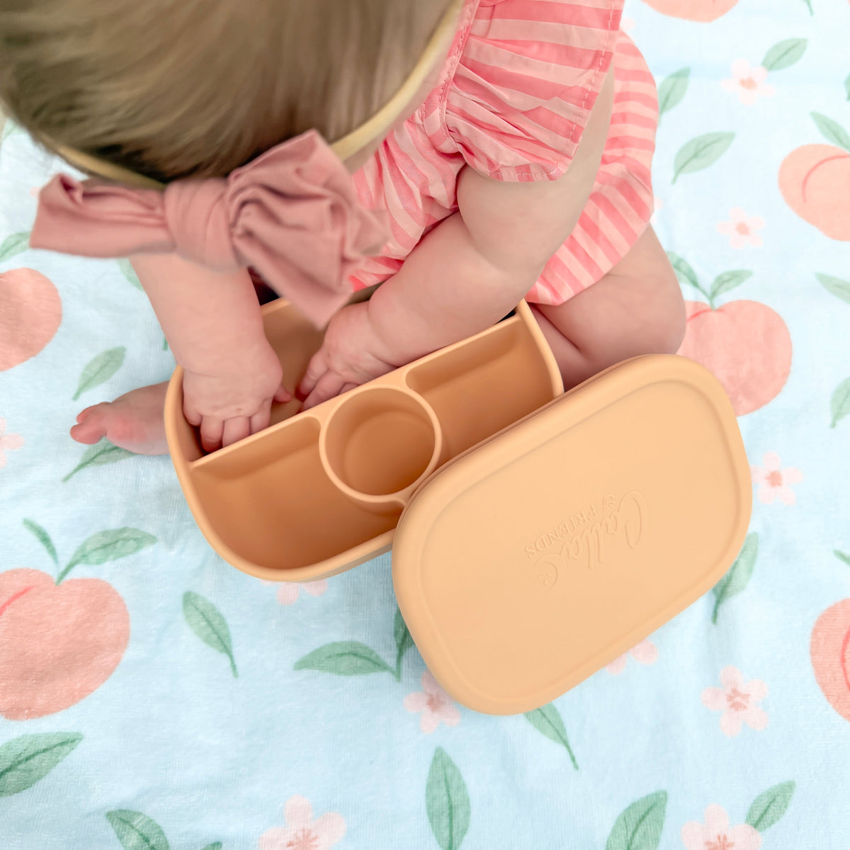Hayden Bento Box - Peach Blossom — Calla and Friends