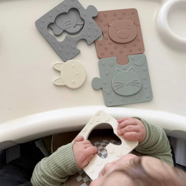 The Lincoln Puzzle — Calla and Friends