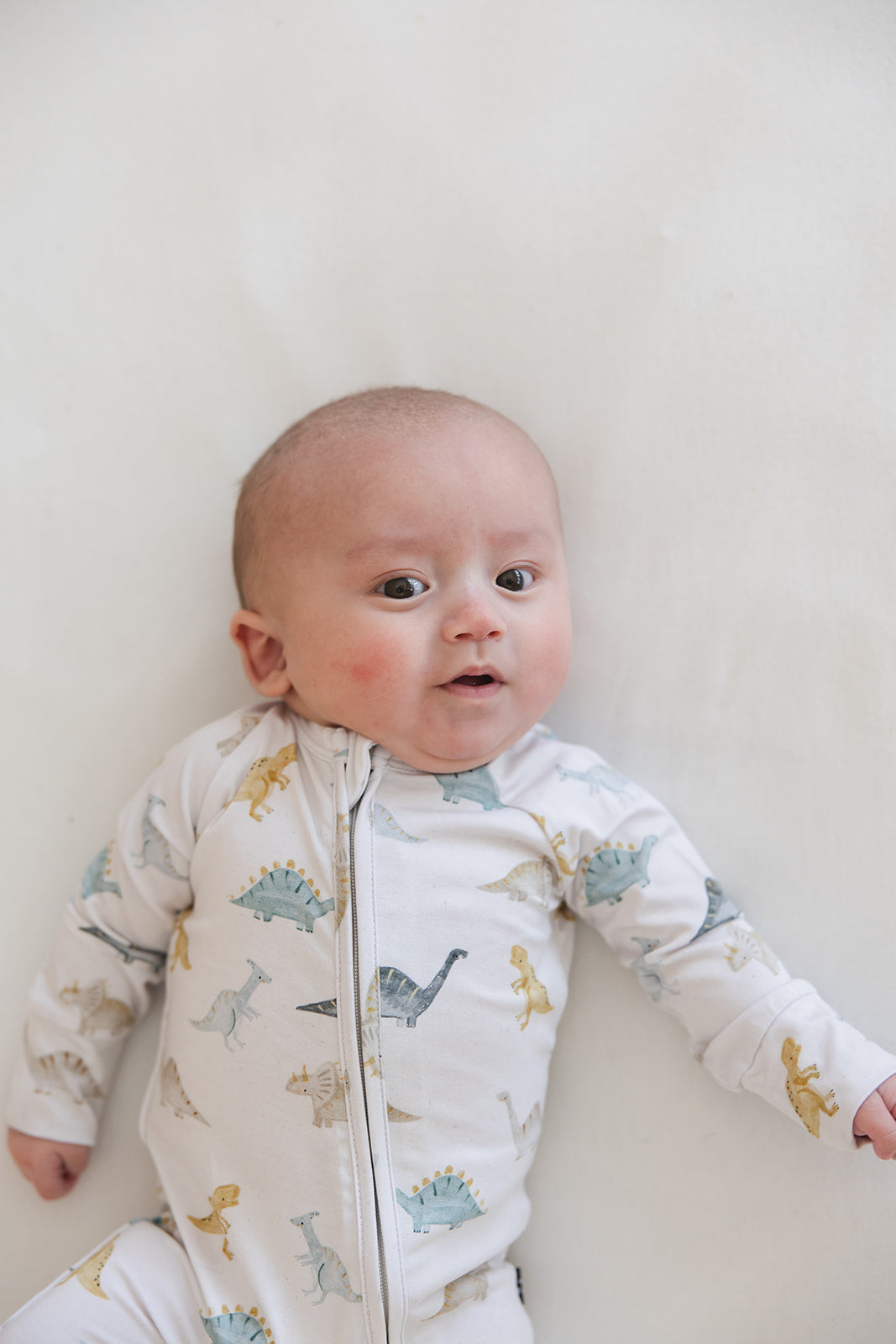 Beckett - Zippy — Blush Lotus