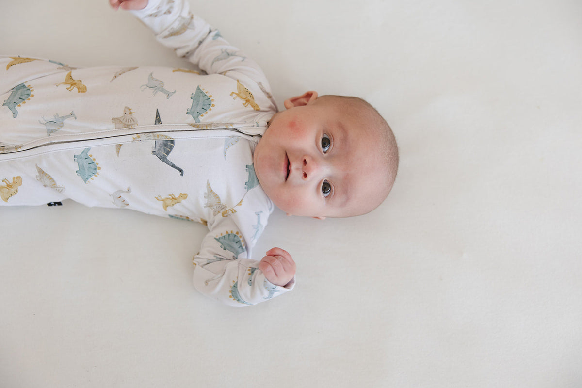 Beckett - Zippy — Blush Lotus