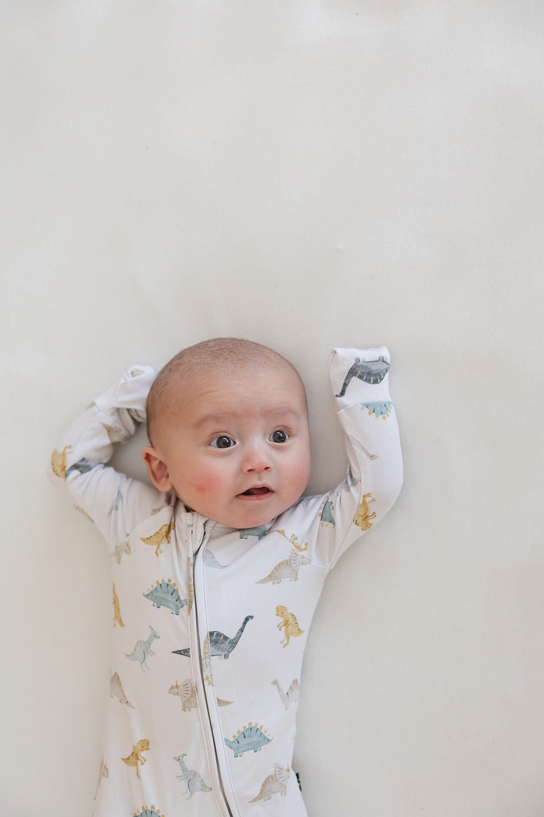 Beckett - Zippy — Blush Lotus