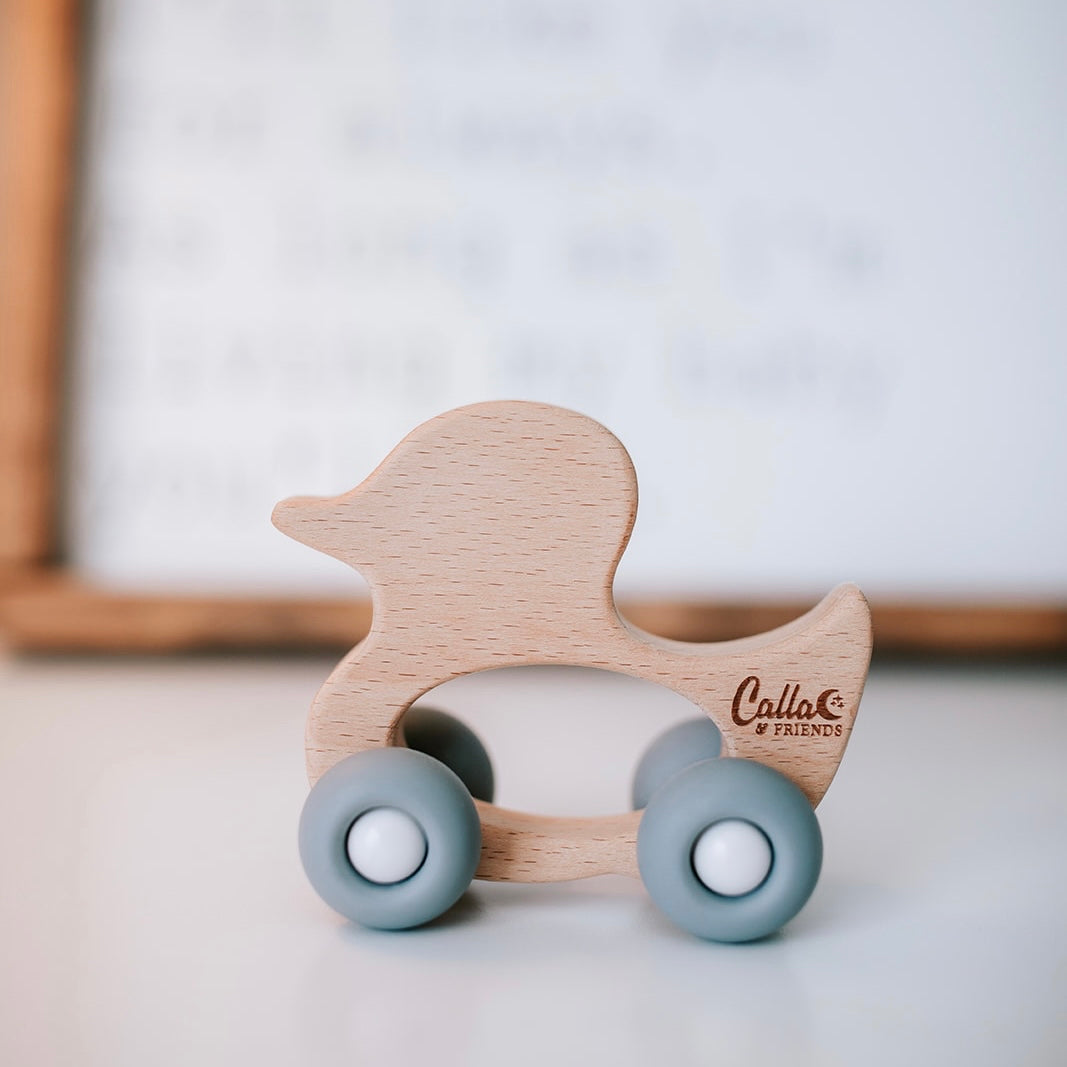 Beechwood Rollin’ Friends - Duck — Calla and Friends