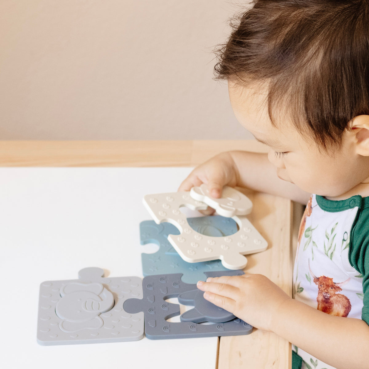 The Lincoln Puzzle — Calla and Friends