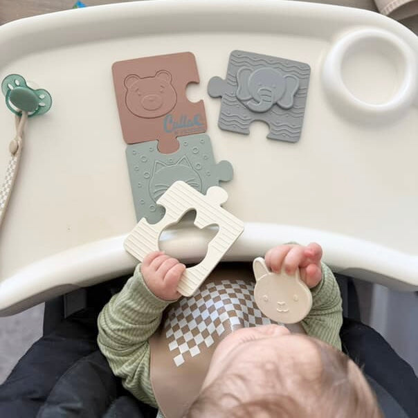 The Lincoln Puzzle — Calla and Friends