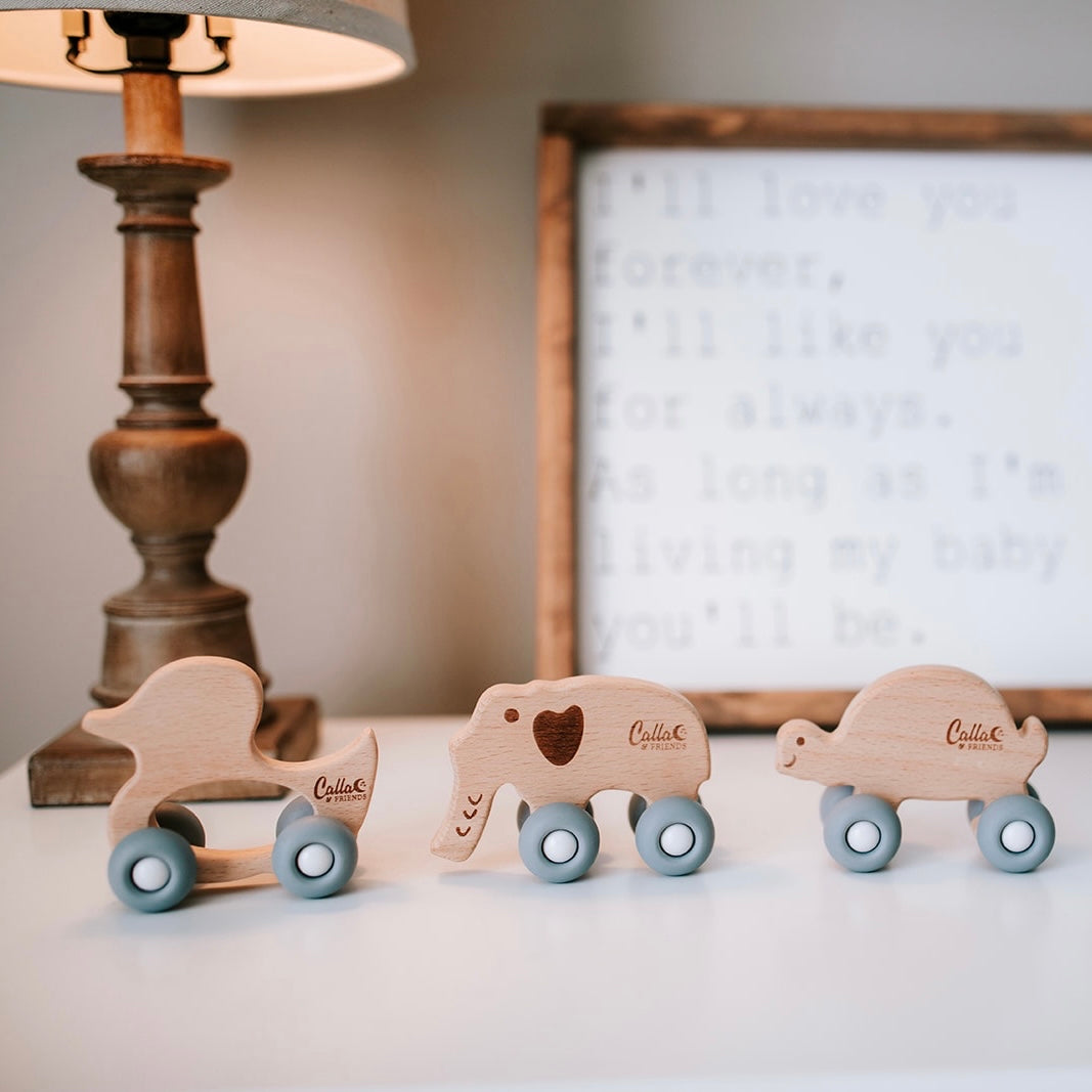 Beechwood Rollin’ Friends - Duck — Calla and Friends