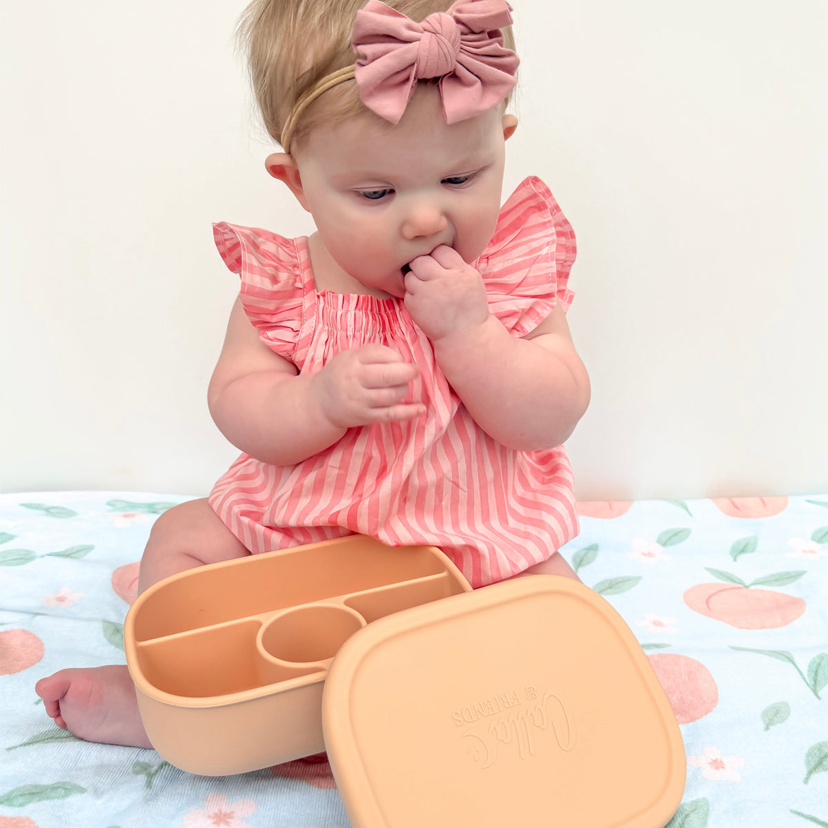 Hayden Bento Box - Peach Blossom — Calla and Friends