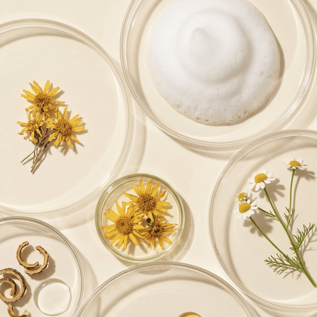 Clean Cheeks — Buddle Skincare