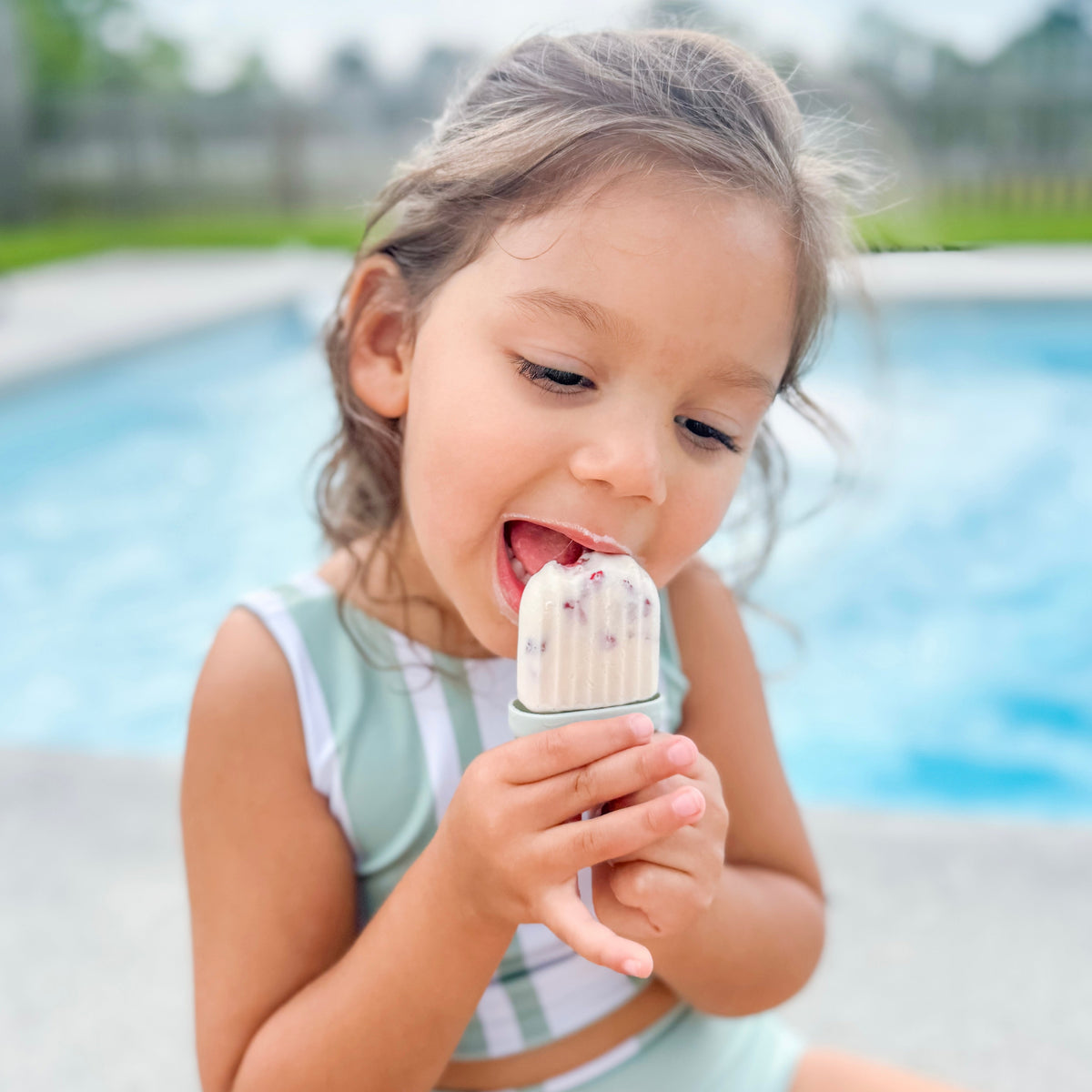 Sunny Pops Popsicle Molds — Calla and Friends