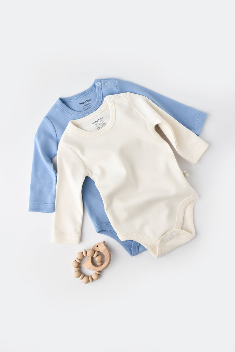 Organic Long Sleeve Bodysuit — Honey and Hive