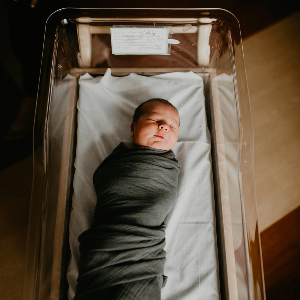 Timber Swaddle Set — Parker Baby Co.