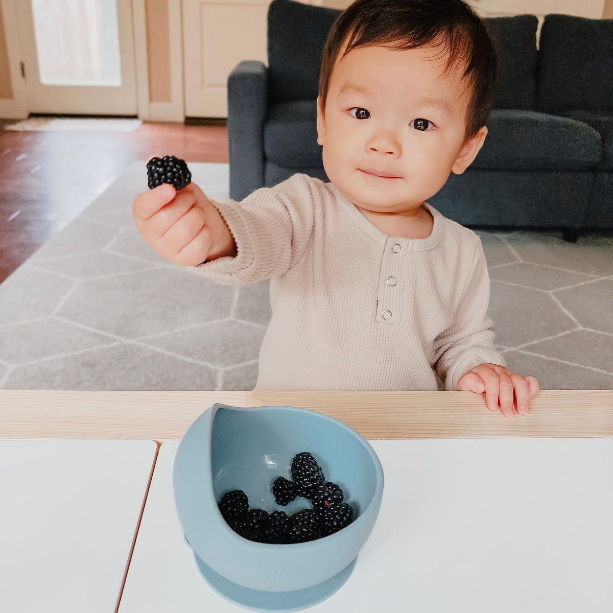 Easy Scoop Suction Bowl — Calla and Friends
