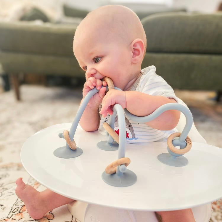 On-The-Go Suction Toy — Calla and Friends