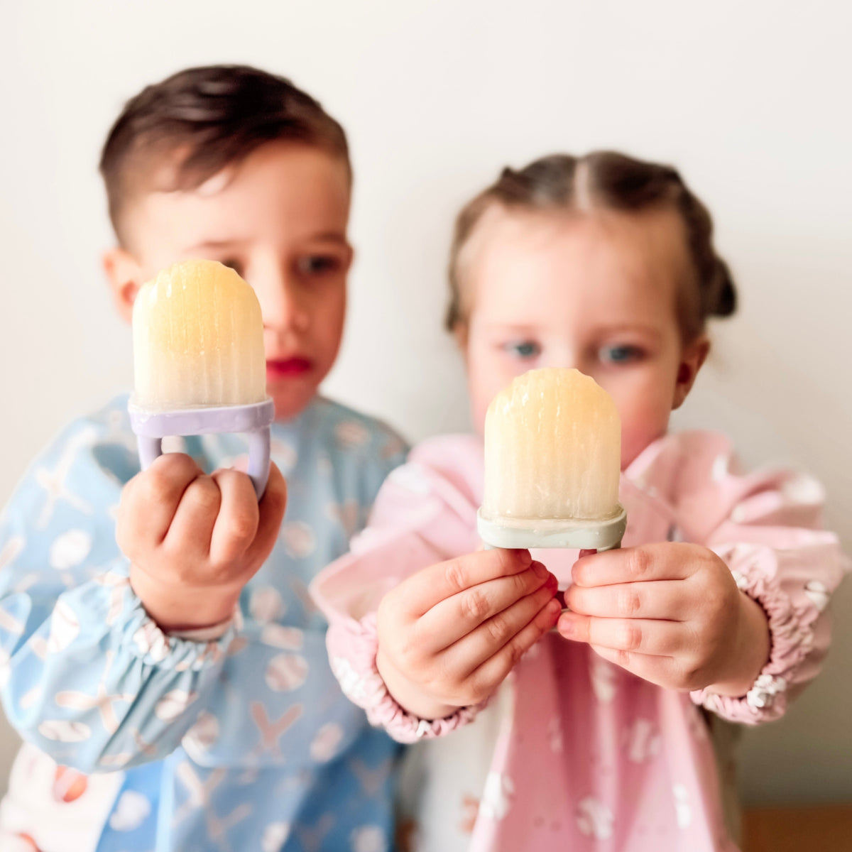 Sunny Pops Popsicle Molds — Calla and Friends