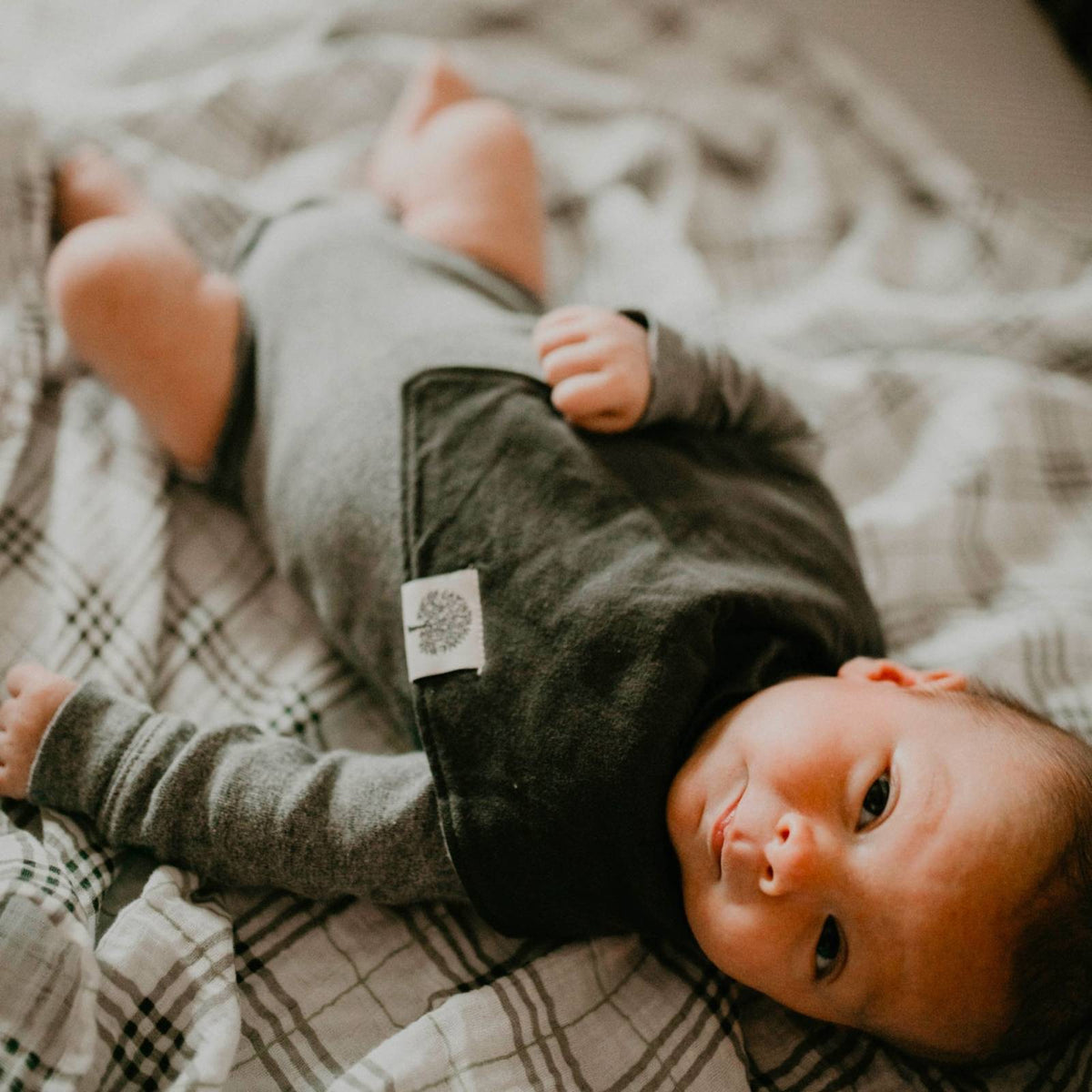 Basics Bandana Bib Set (8 pack) — Parker Baby Co.
