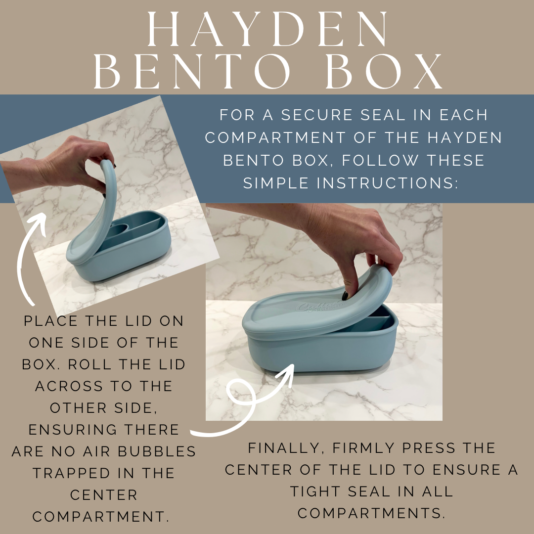 Hayden Bento Box - Powder Blue — Calla and Friends
