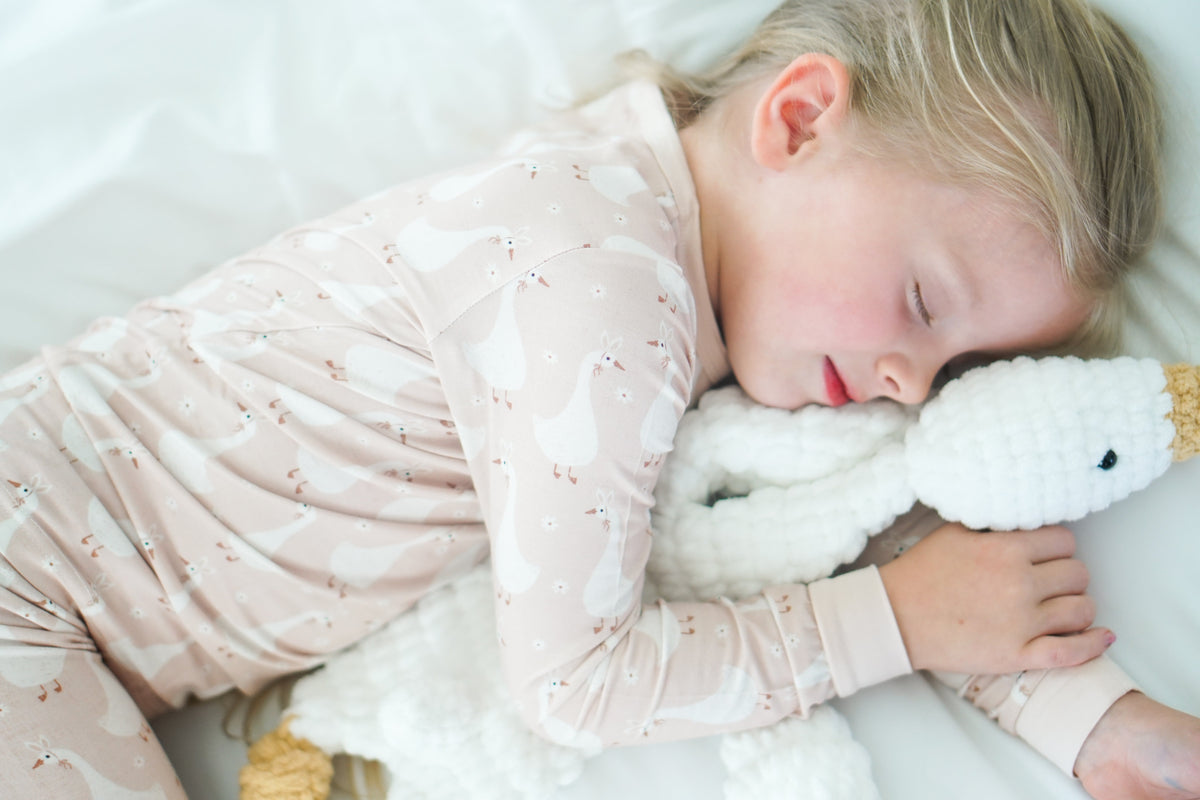 Silly Goose on the Loose 2pc Bamboo Pajamas — Little Joy Co.