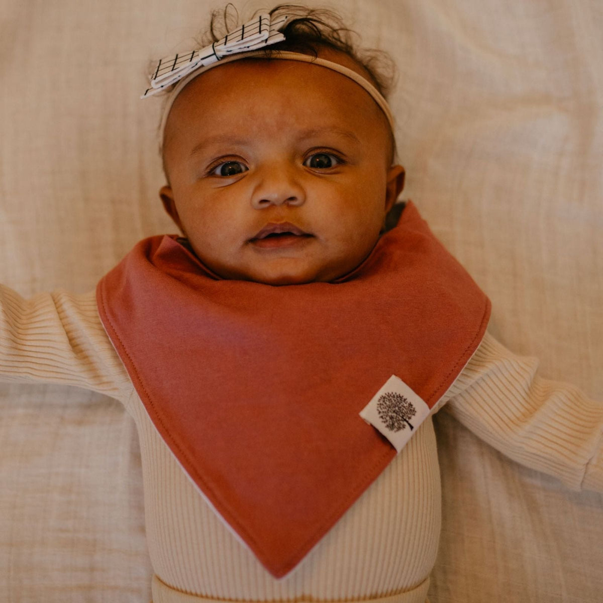 Vail Bandana Bib Set (8 pack) — Parker Baby Co.