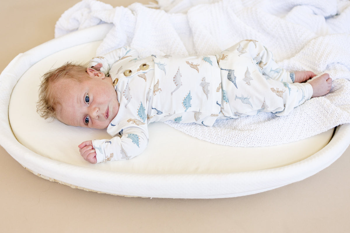 Snugglesaurus 2pc Henley Bamboo Pajamas - Sizes Newborn & Up! — Little Joy Co.