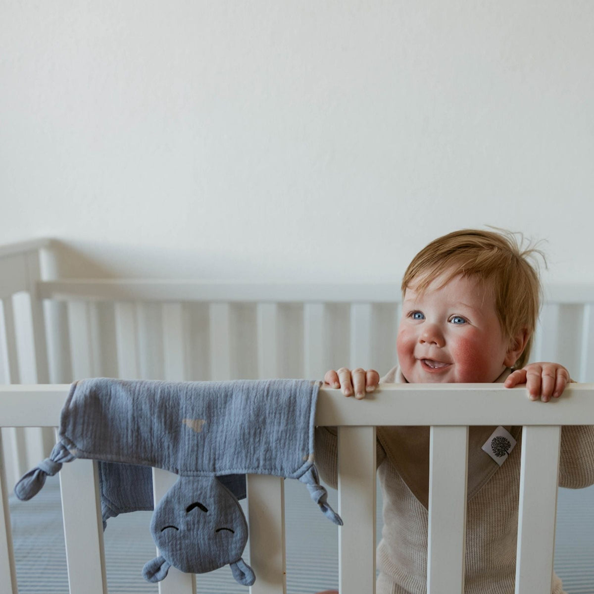 100% Muslin Lovey - Windy — Parker Baby Co.