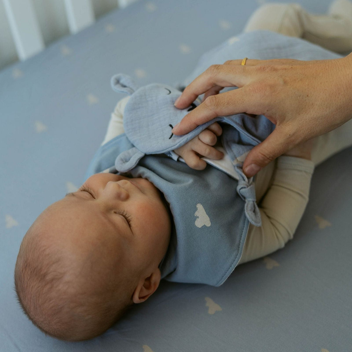 100% Muslin Lovey - Windy — Parker Baby Co.