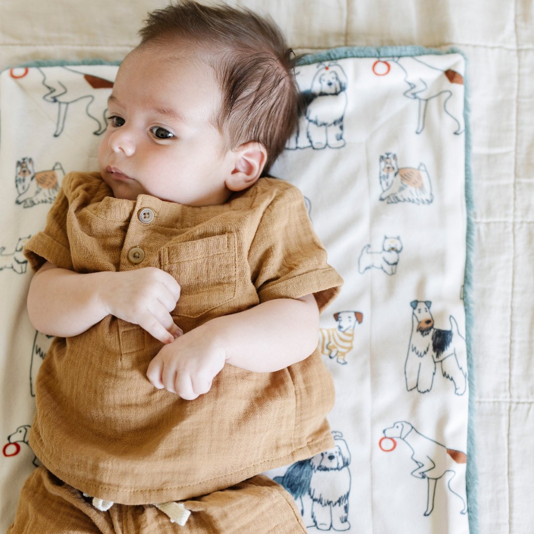 Minky/Lush Mini Blankets — Saranoni